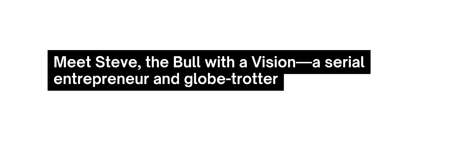 Meet Steve the Bull with a Vision a serial entrepreneur and globe trotter